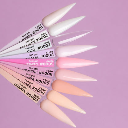 Fast Gel - Basic Collection 12 ml DNKa'
