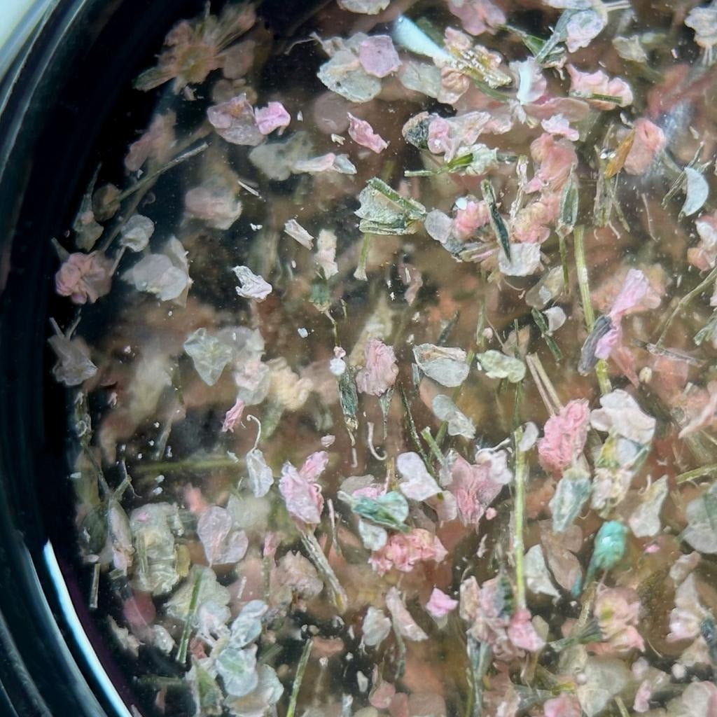 Flower Gel №8 5 ml Saga Professional