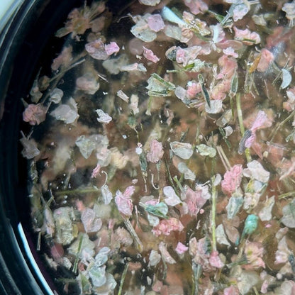 Flower Gel №8 5 ml Saga Professional