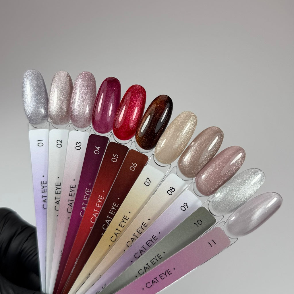 Gel polish Cat Eye №2 10 ml Dark