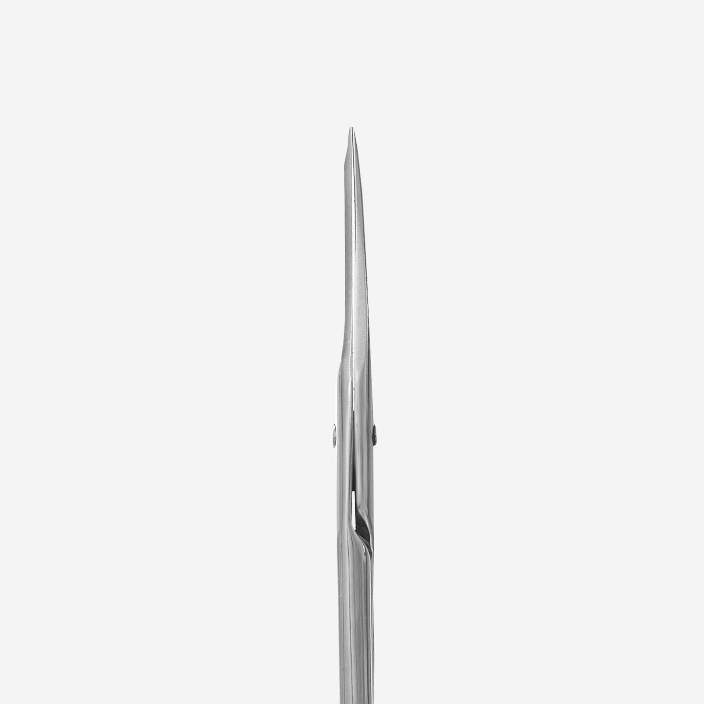 Straight multi-purpose scissors Staleks Classic 31 Type 1, SC-31/1