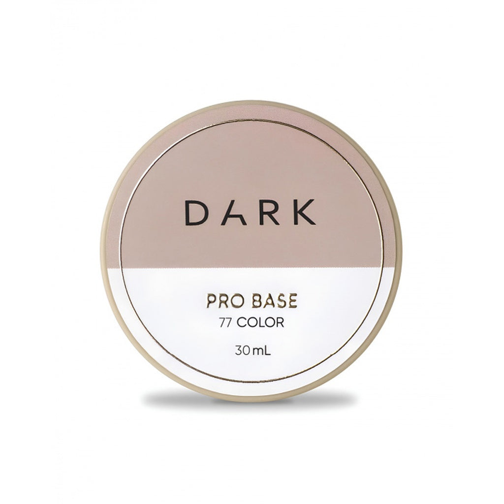 Cover Grundlack Pro №77 Dark