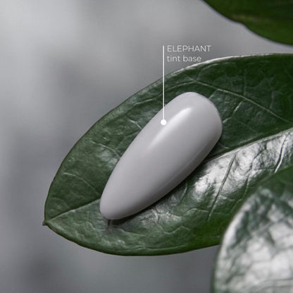 Tint Base Elephant 15 мл HEYLOVE